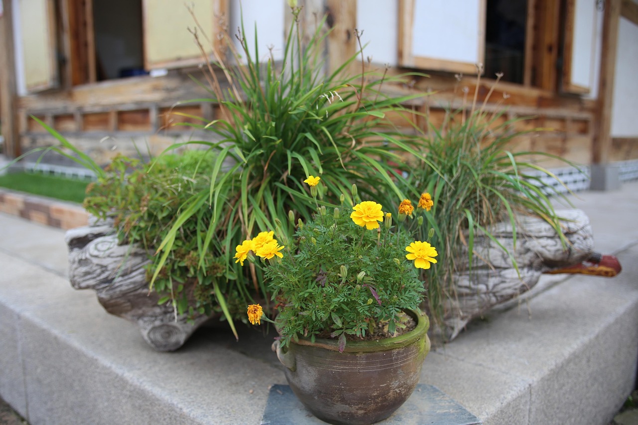 전주 한옥 마을 당일치기 완벽 코스