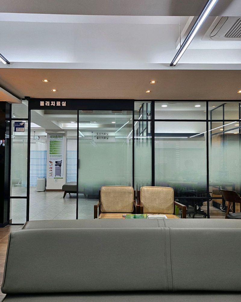 고양시 백석1동 정형외과 유명하고 잘하는 곳 추천 TOP 5