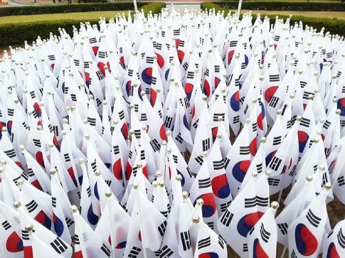 수많은 태극기