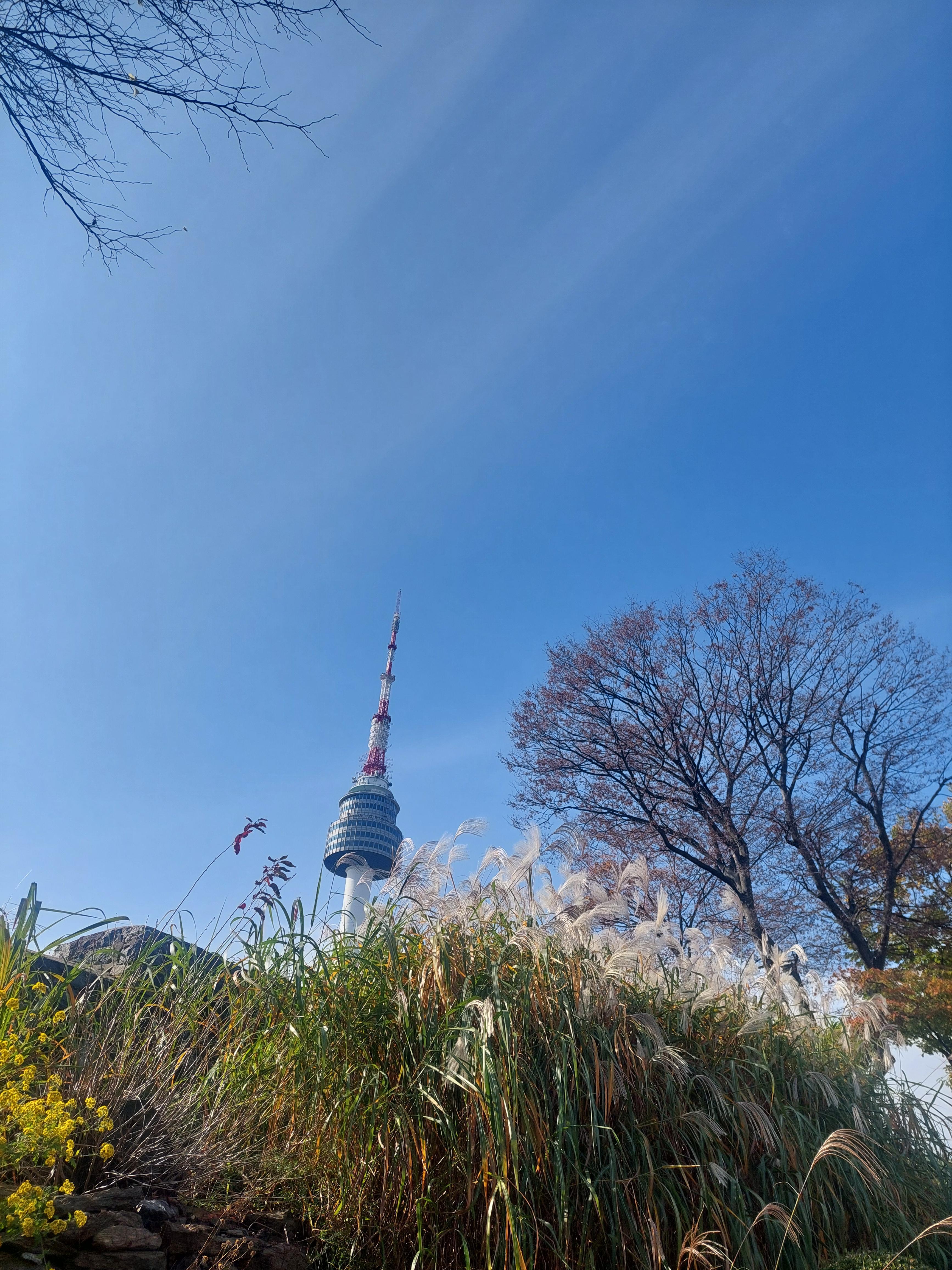 남산