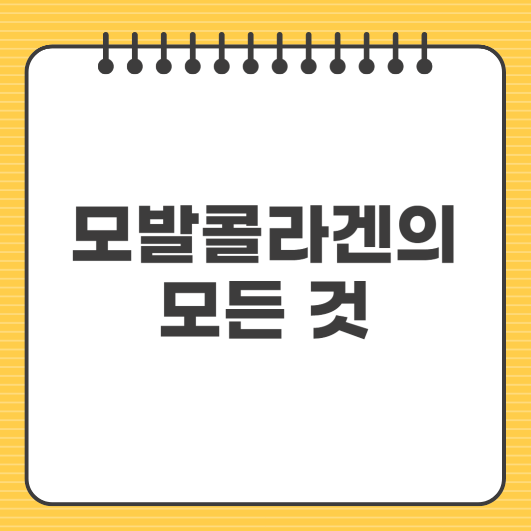 모발콜라겐의 모든 것｜탈모 예방과 머릿결 개선까지
