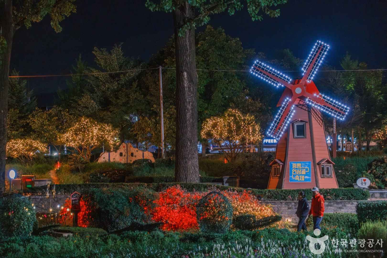 보강천 미루나무 숲