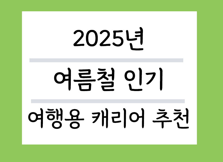 2025년 여름철 인기 여행용 캐리어 추천