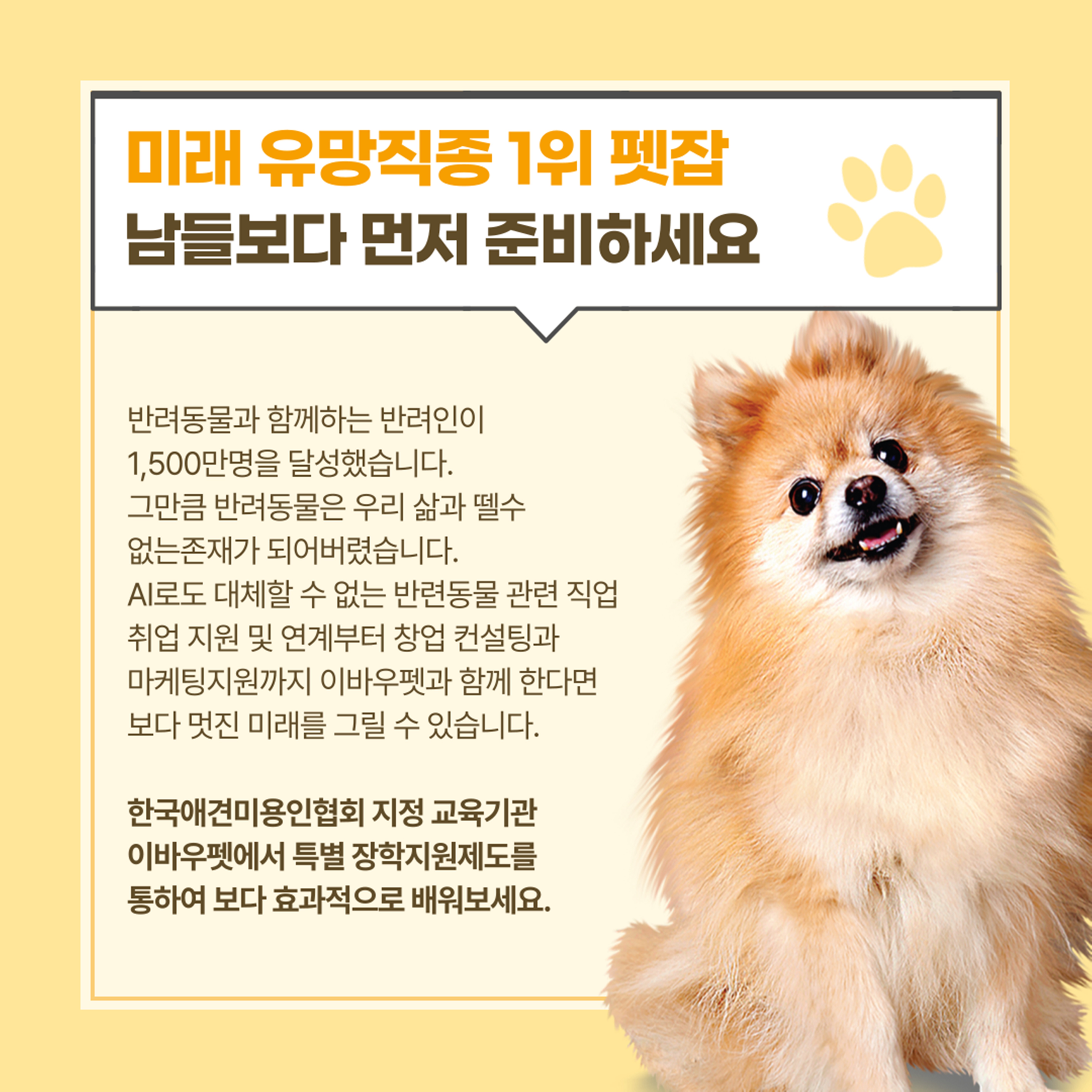국비지원 애견미용 자격증