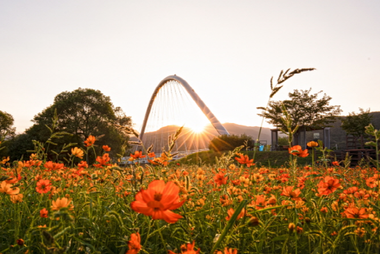 남양주 물의정원