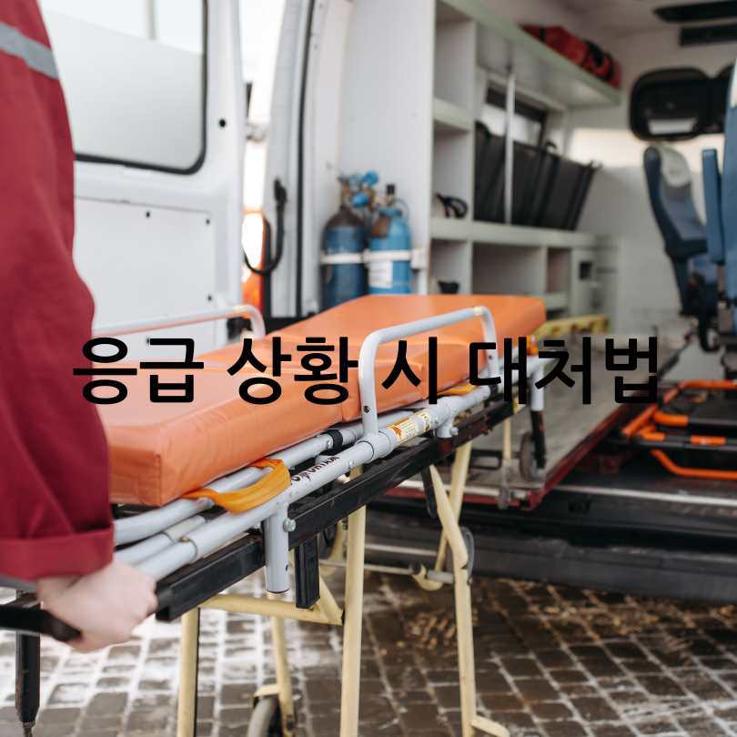 심혈관 질환 전조증상과 예방법