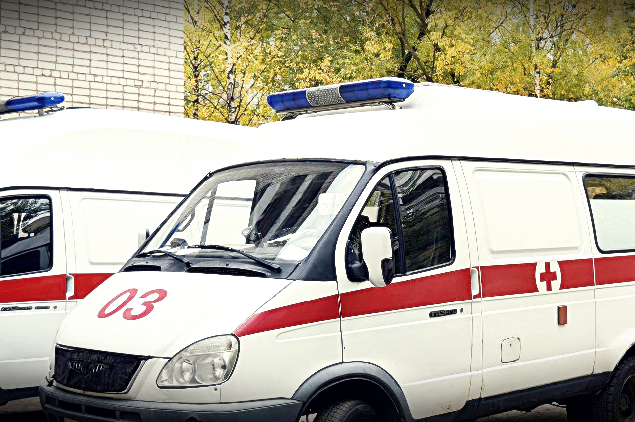 빈대의 문제점1