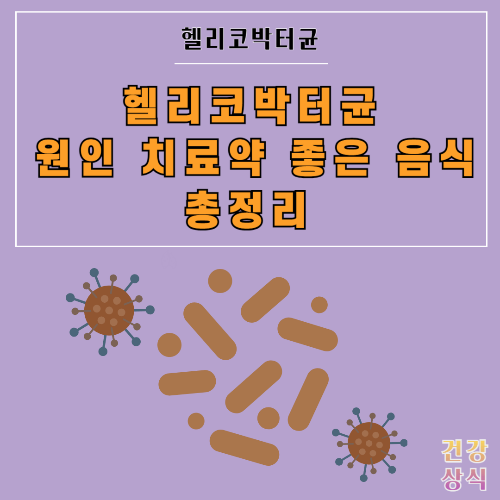 헬리코박터균 원인 치료약 좋은 음식 총정리