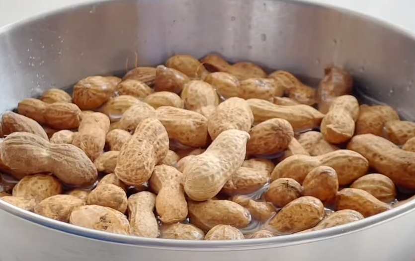 땅콩-냉동실보관