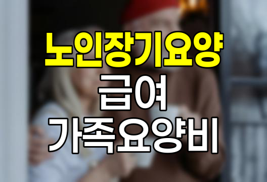 노인장기요양보험 급여와 가족요양비 활용법