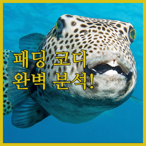 남성 루즈핏 패딩 코디 및 와이드 팬..