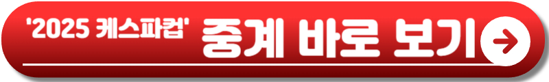 케스파컵 일정