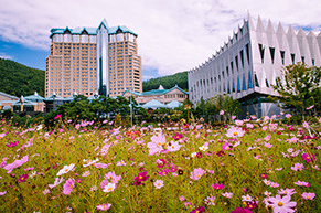 정선 하이원리조트