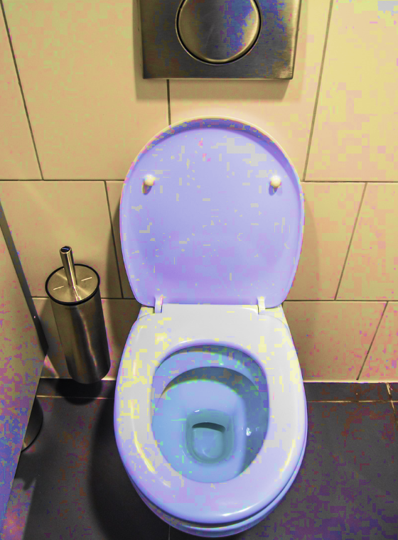 화장실 청소, 곰팡이 제거, 변기 청소 하는 방법