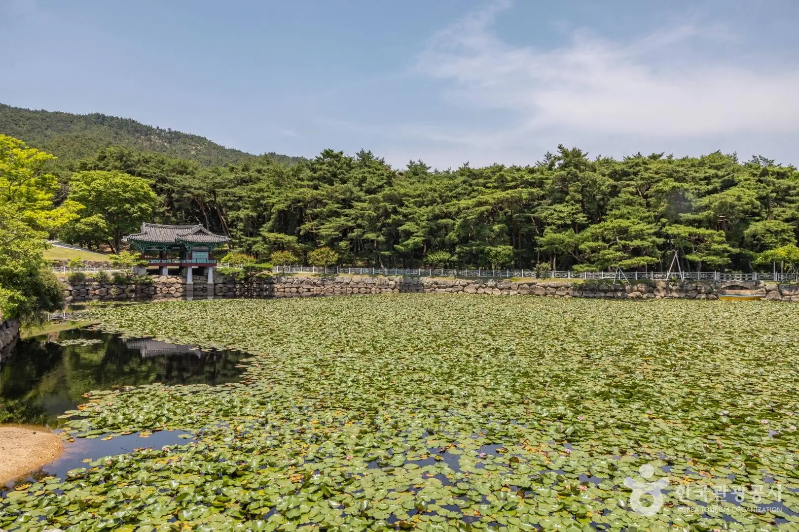 b559124d-93c6-4db2-a537-dc6cee188de0