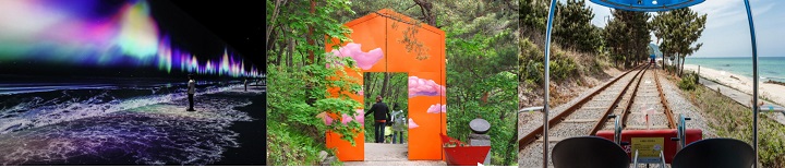 아르떼뮤지엄 강릉, 하슬라아트월드, 정동진 레일바이크 전경