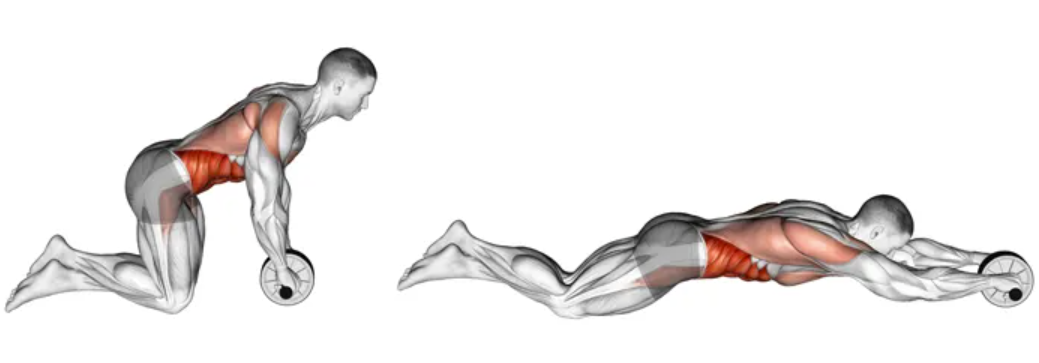 복근 운동기구 사용 방법