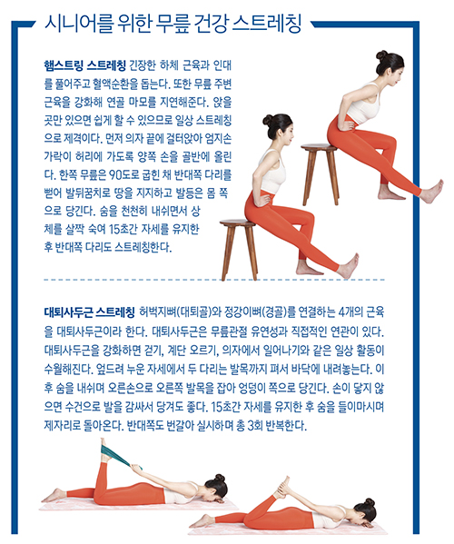 시니어 무릎 운동