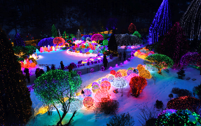 오색별빛정원전