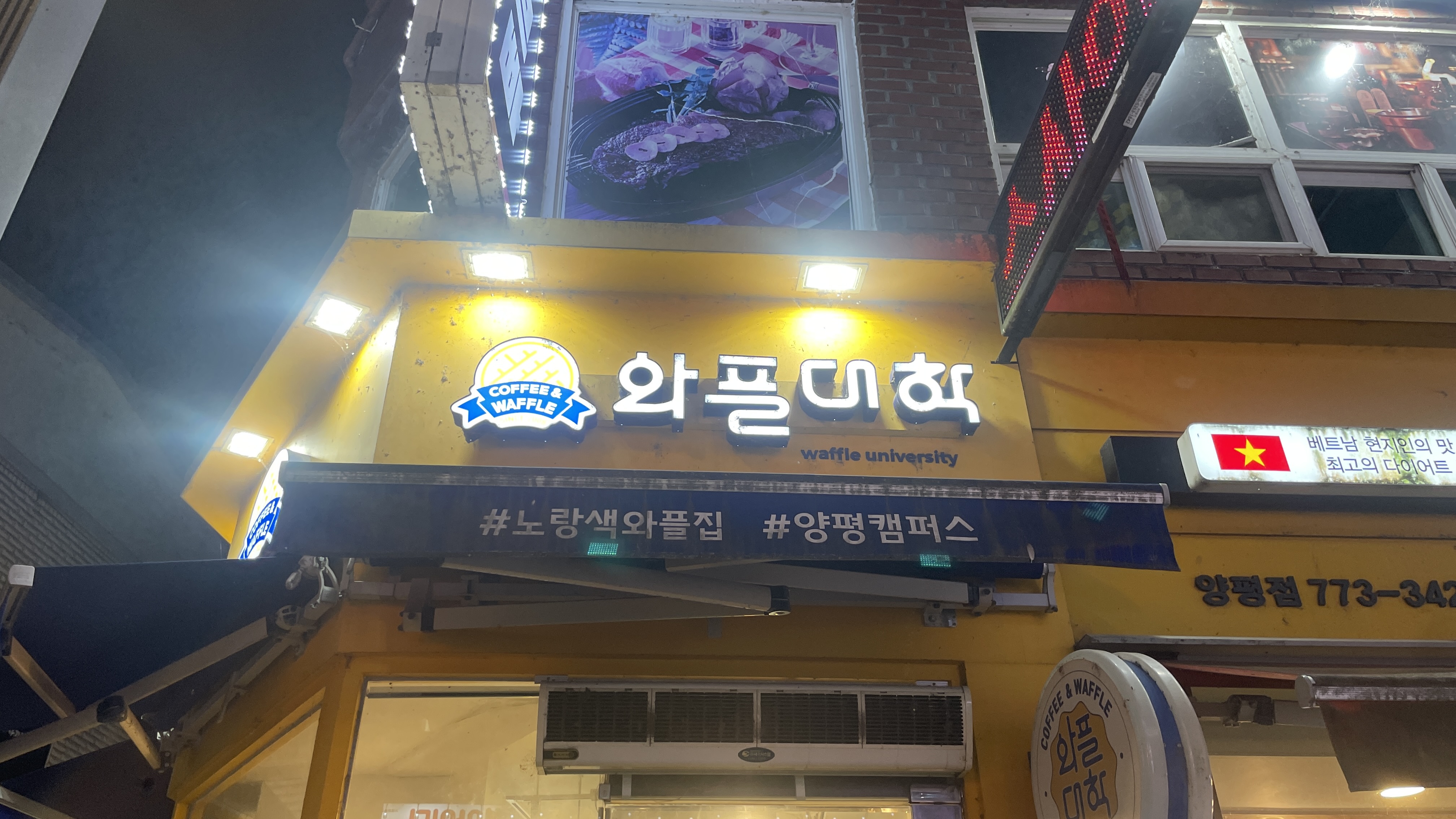 와플대학