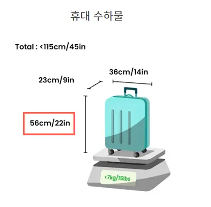 휴대수하물