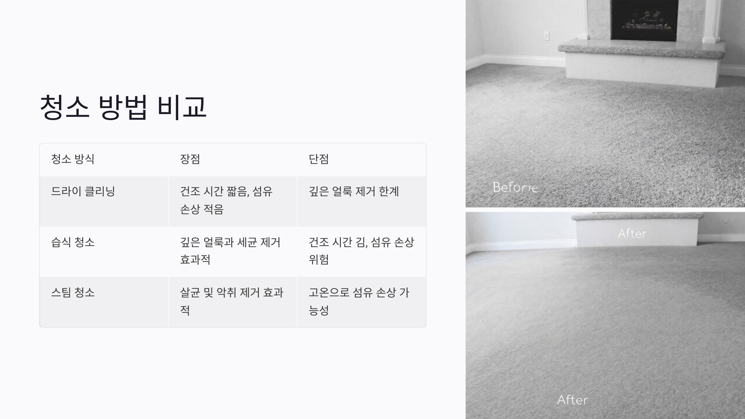 카펫 청소 서비스 종류 및 차이점