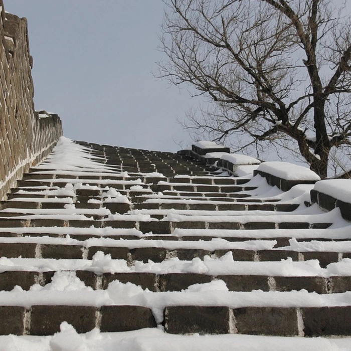 사용자 경험