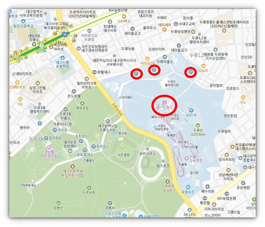 대구이월드 벚꽃축제