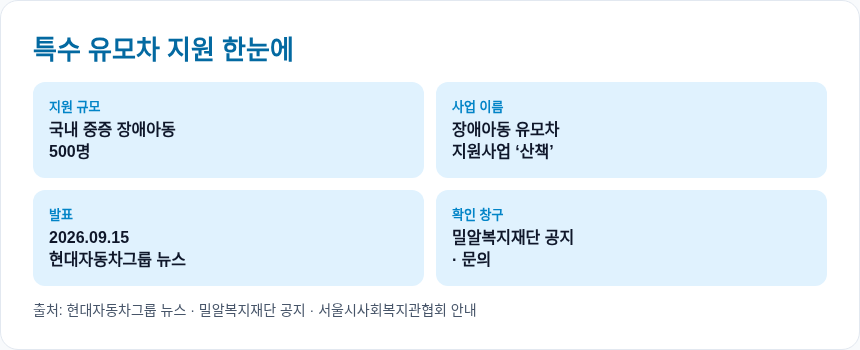 특수 유모차 지원 한눈에