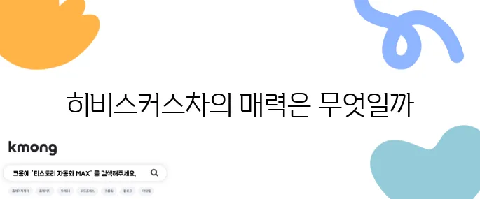 히비스커스차의 10가지 효능과 함께 알아야 할 부작용이 있습니다.