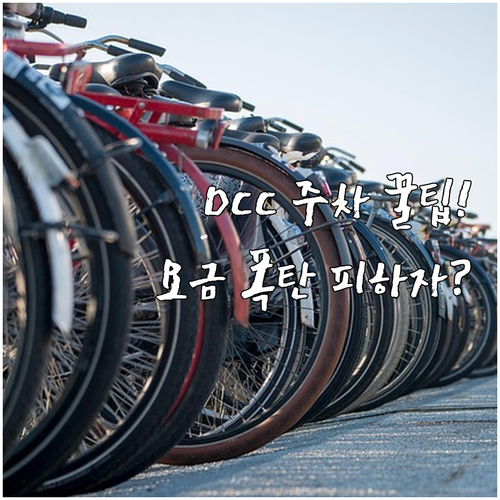 734대 DCC 2전시장 주차 정보:..