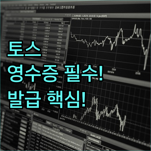 토스 송금 및 결제 증빙 서류 영수증..