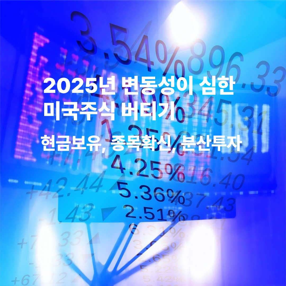 2025년 변동성이 심한 미국주식 버티기(현금보유, 종목확신, 분산투자)