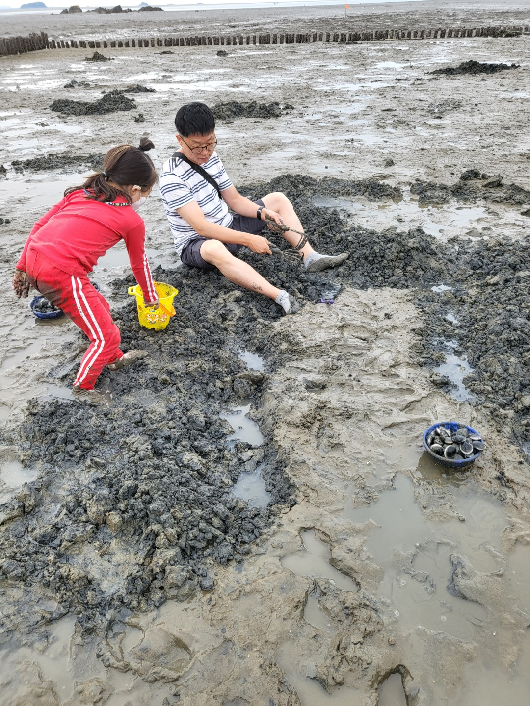 서천 갯벌체험&amp;#44; 모시조개 캐기 (서천송림갯벌체험장)