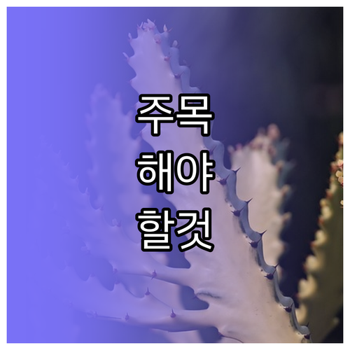 잠이 보약! 수면의 질 높이는 핵심 ..