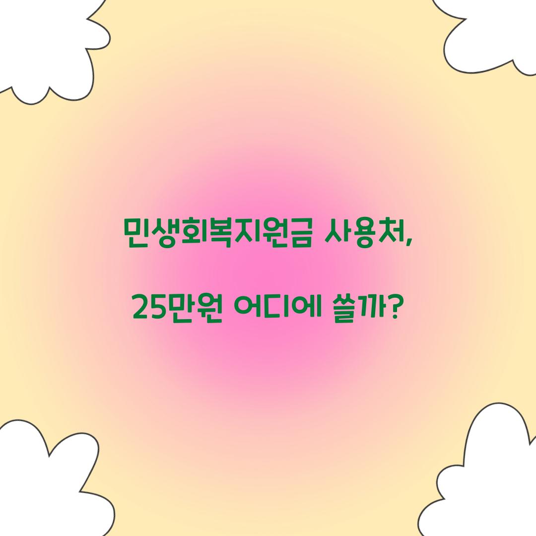 민생회복지원금 사용처