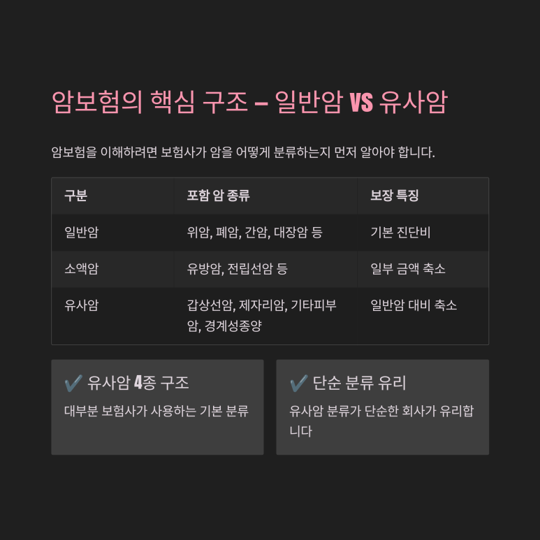 일반암 소액암 유사암 구조 분석 인포그래픽