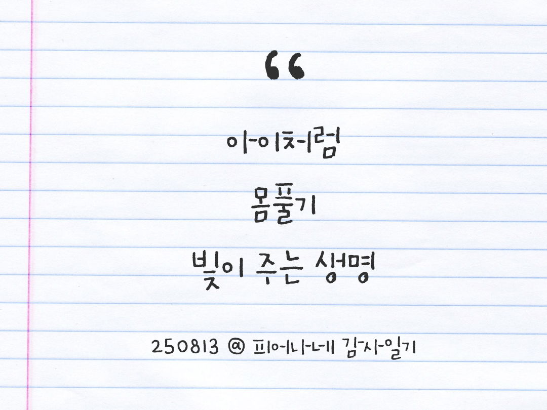 25년 8월 13일 오늘 내 마음 기록하기 감사노트, 감사를 통해 발견한 행복, 오늘 감사한 순간들 by 피어나네 감사일기