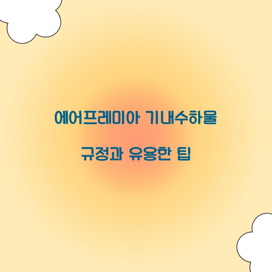 에어프레미아 기내수하물