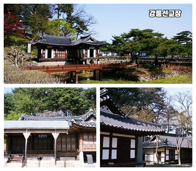 강릉선교장 이곳저곳