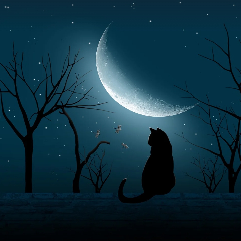 디지털 장례 컨설턴트