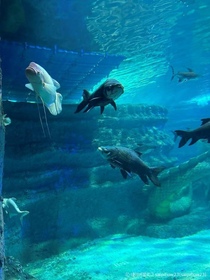 사천 가볼만한곳 베스트 10