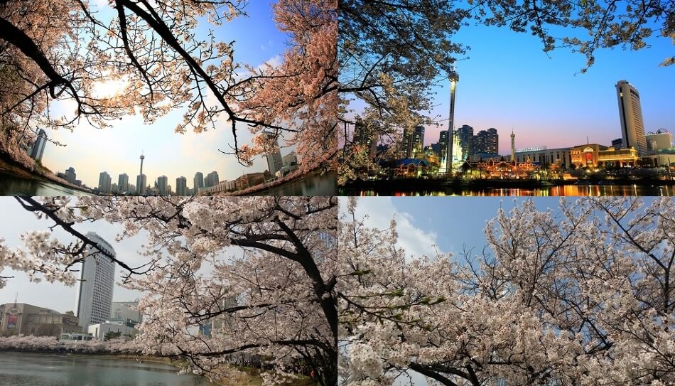 석촌호수 주자안내