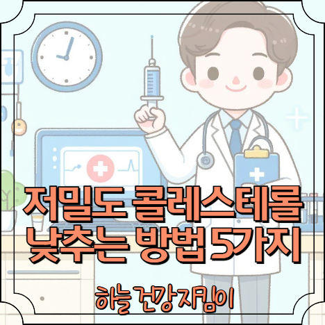 저밀도 콜레스테롤 낮추는 방법 5가지