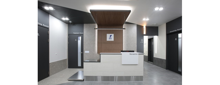 강릉시 동물병원