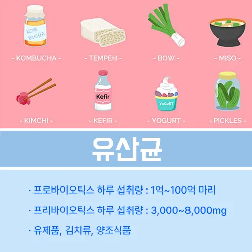 유산균