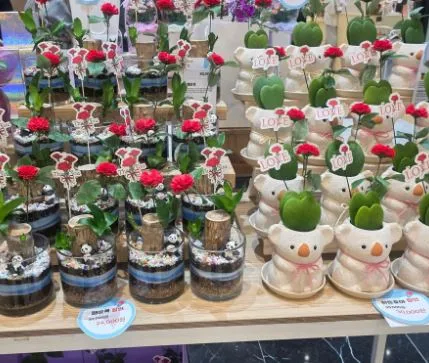 업스퀘어-카네이션-화분