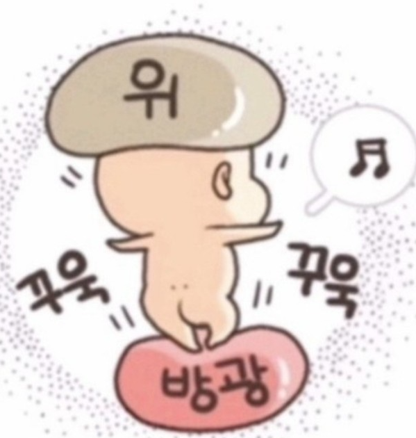태동 느끼는 시기 언제부터인지 궁금하시죠?^^ - 임신 주수별 태동 변화