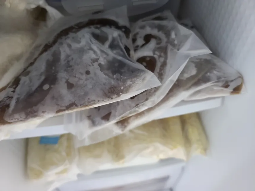 냉동실에 소분해 둔 음식들