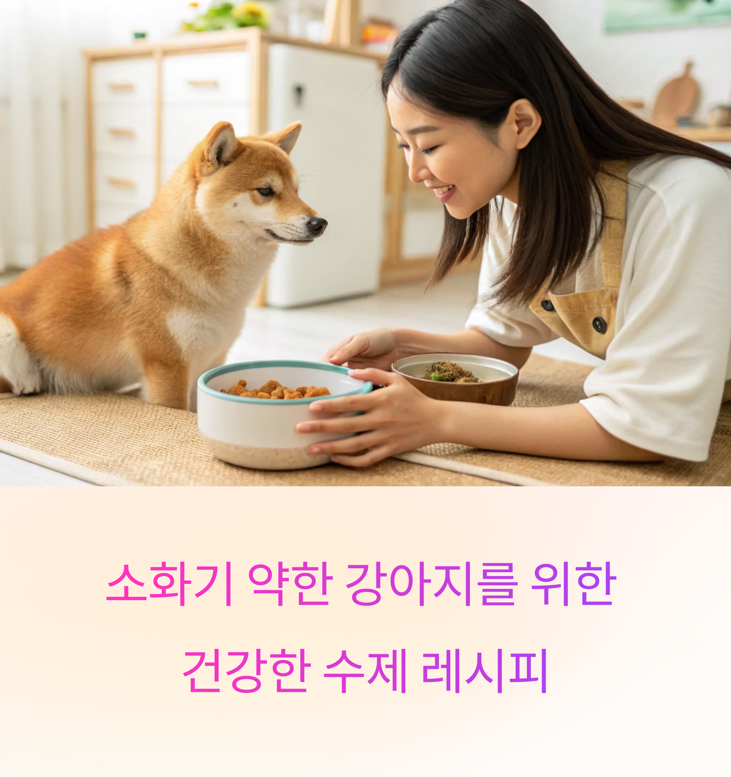 건강한 수제 레시피
